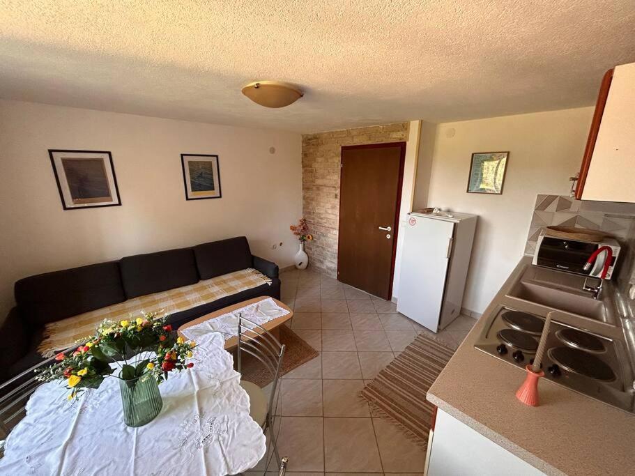 Apartament App Franci Parenzana Marusici  Zewnętrze zdjęcie