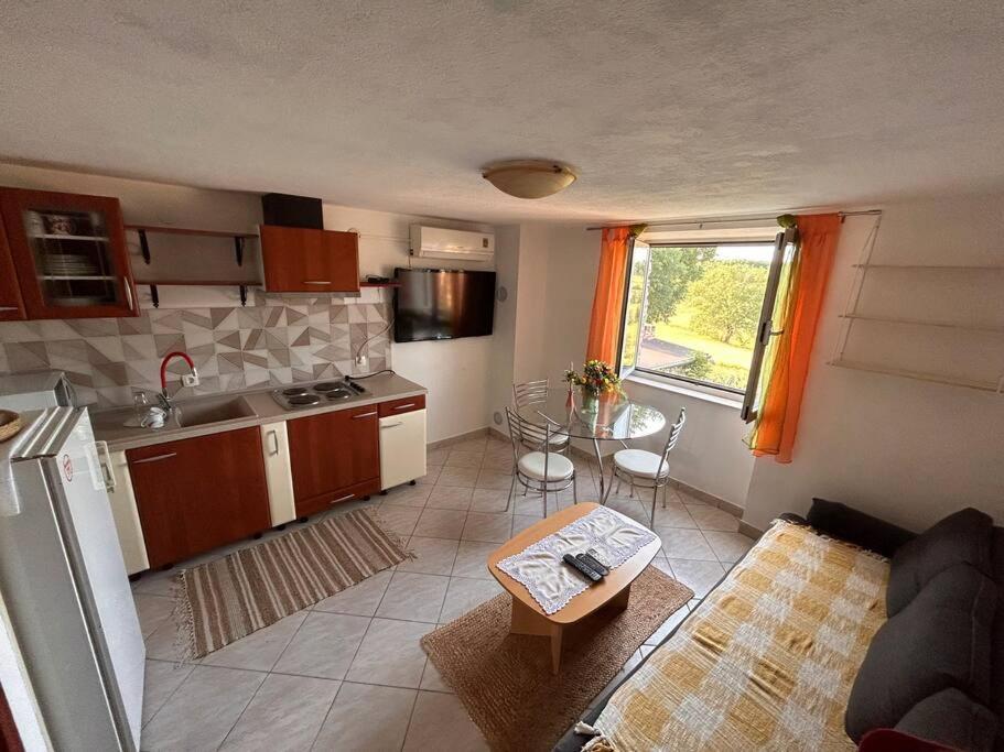 Apartament App Franci Parenzana Marusici  Zewnętrze zdjęcie